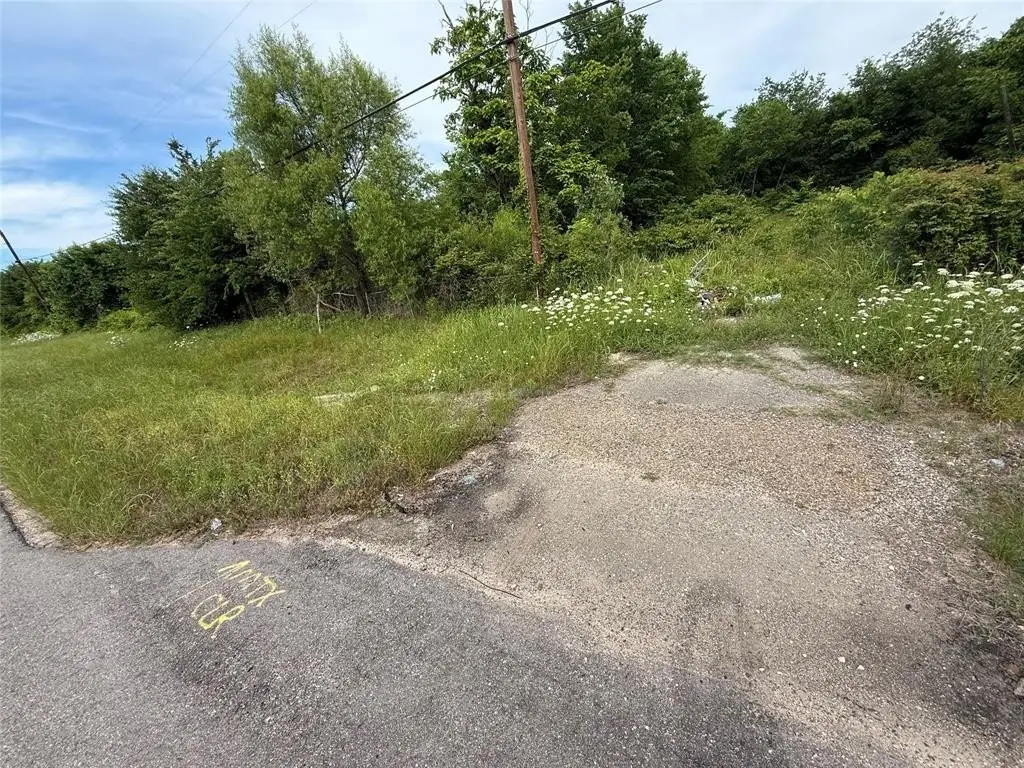 Picture 7