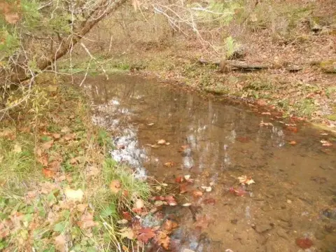 160 Acres Recreational Land, Arkansas