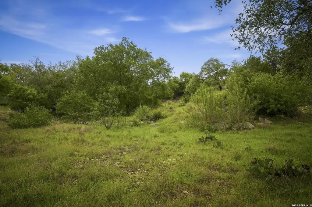 Picture 21