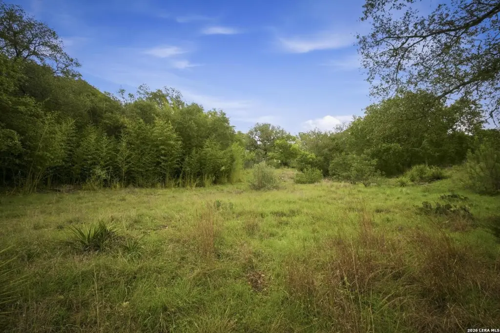Picture 20