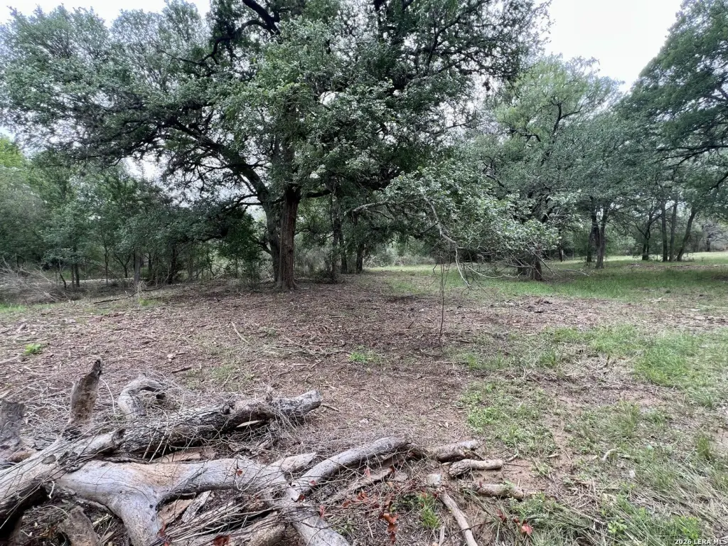 Picture 25