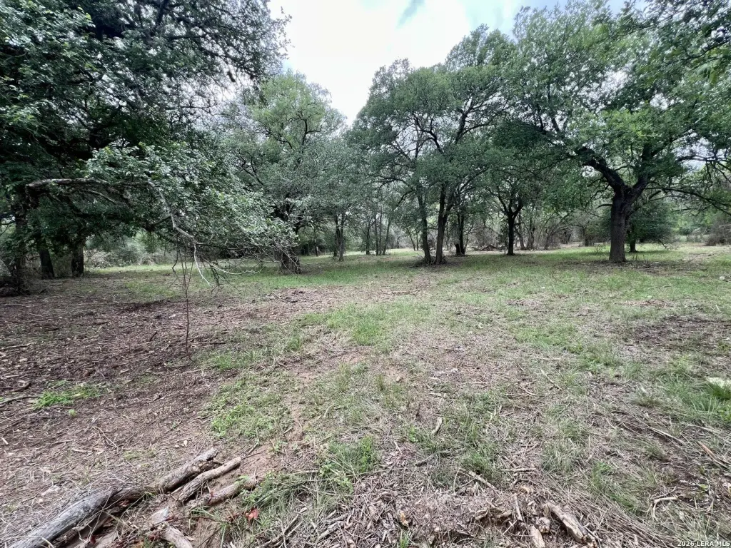 Picture 26