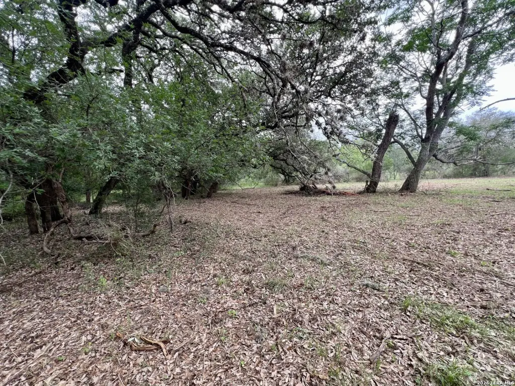 Picture 18