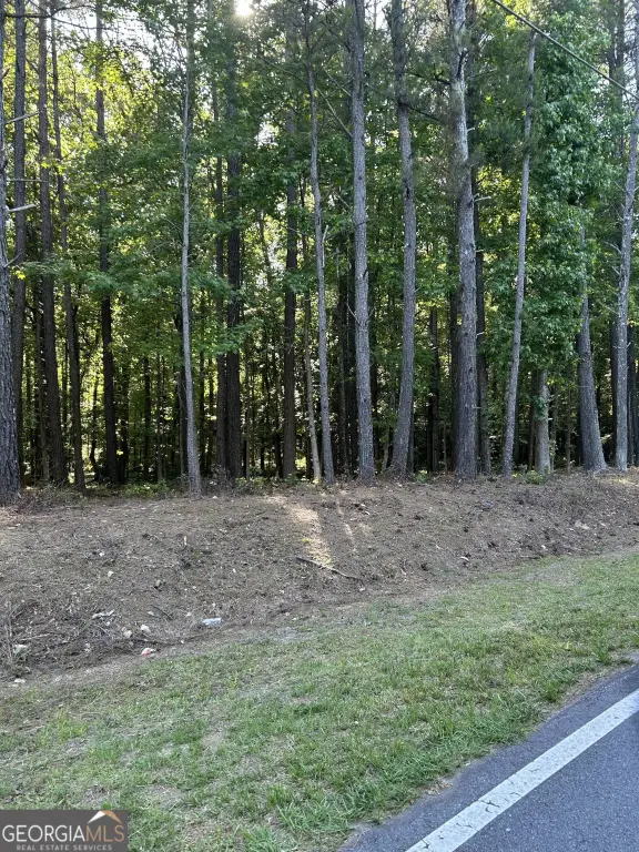 Picture 14