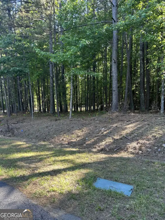Picture 17