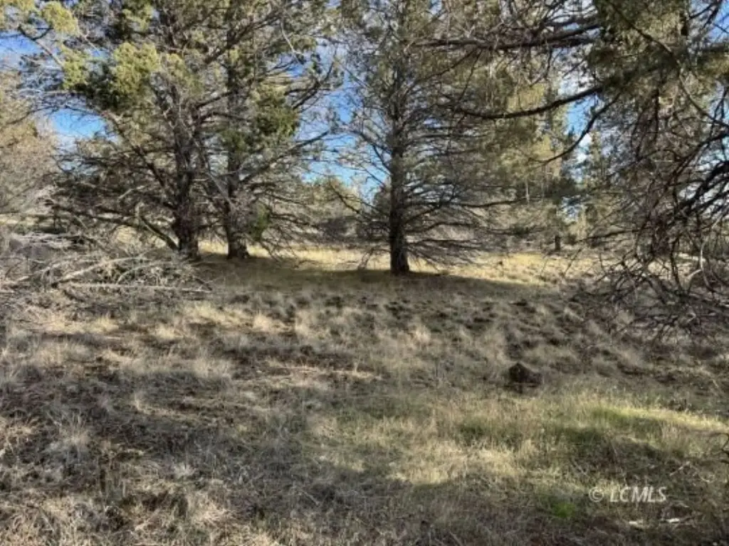 Picture 19
