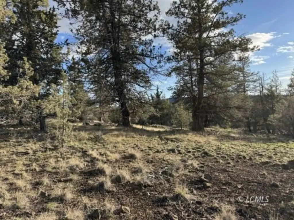 Picture 25
