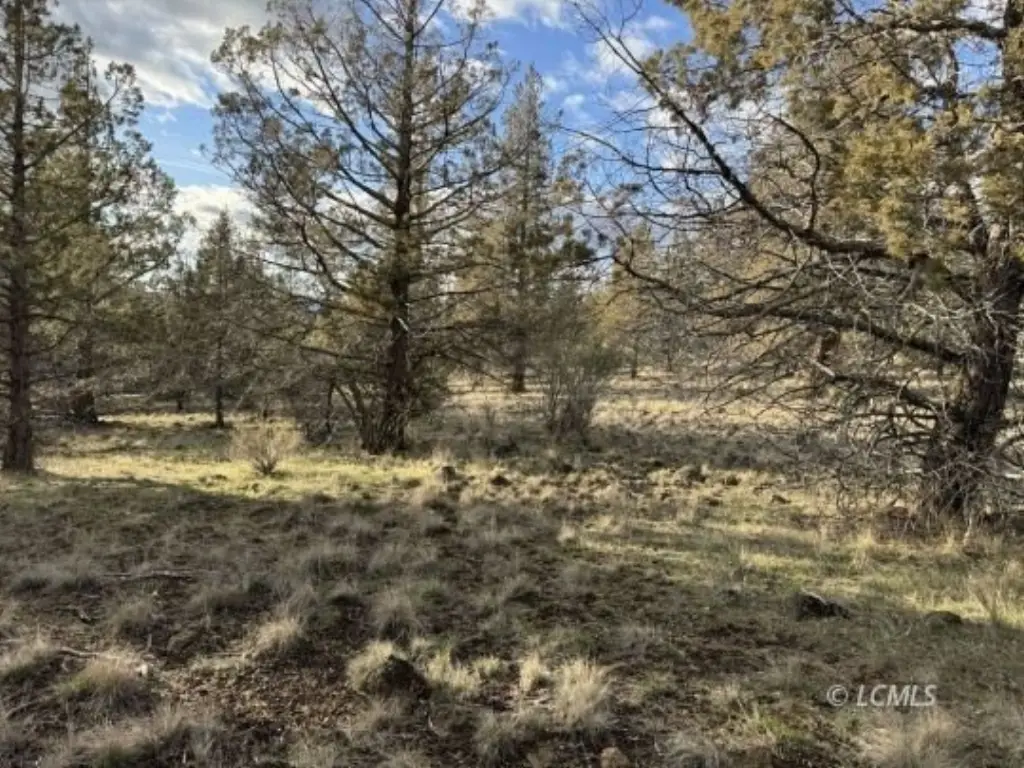 Picture 22