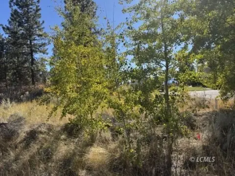 Corner Lot with Mature Trees