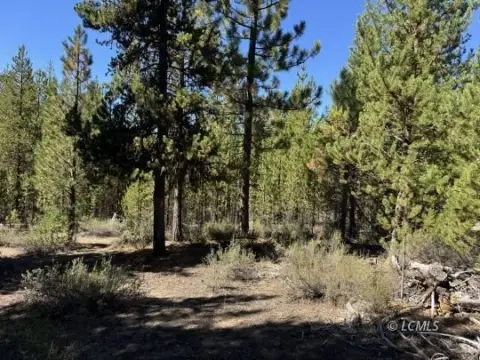 Crescent Lake Vacant Treed Land