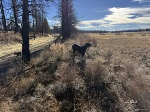 Vacant Land in Bly, Oregon