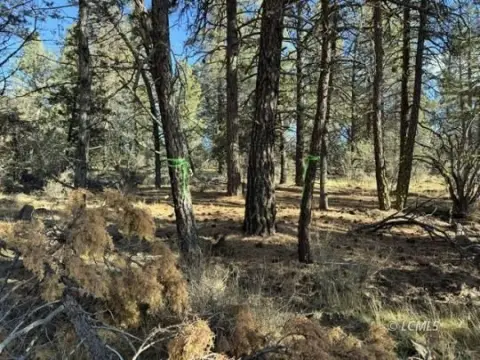 Bonanza, OR Vacant Land