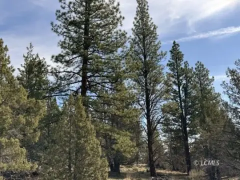 Mountain Land with Recorded Access