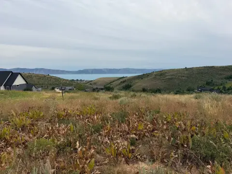 Single-Family Land Lot