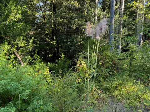 Hiouchi Land with Development Potential