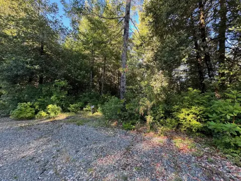 Hiouchi Land with Development Potential