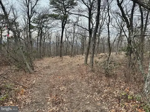 Land with Mountain Views