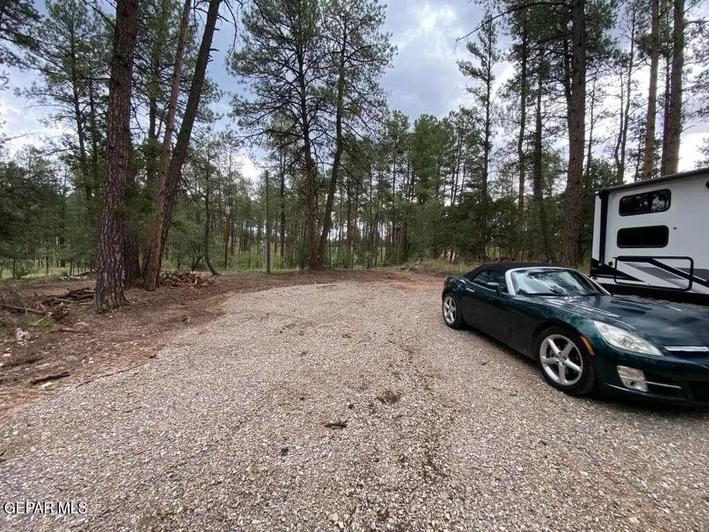 Picture 4