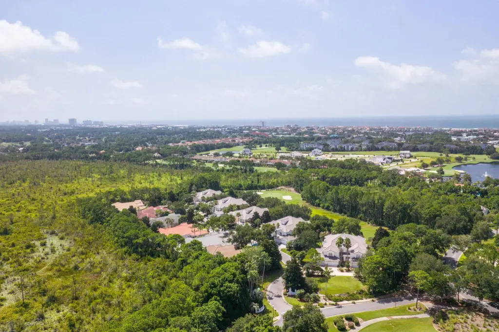 Picture 54