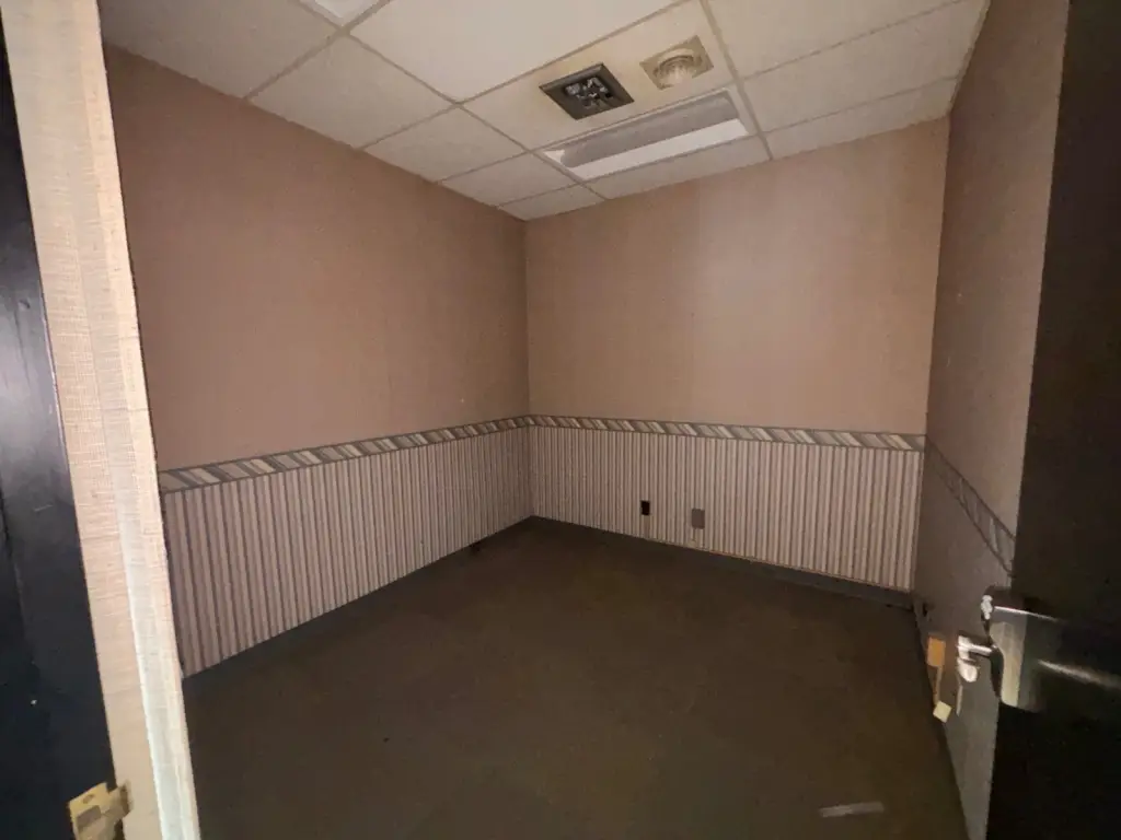 Picture 5