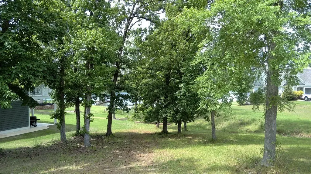 Picture 4