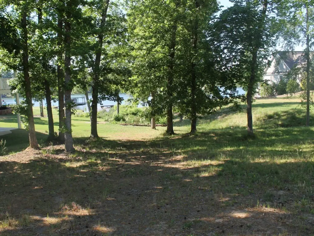 Picture 11