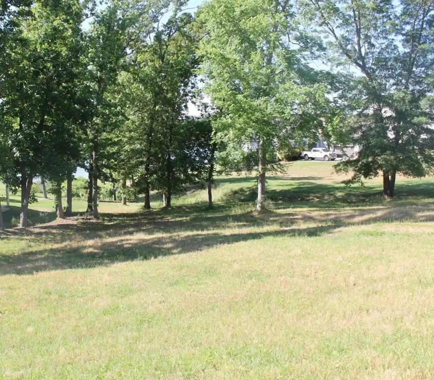 Picture 12