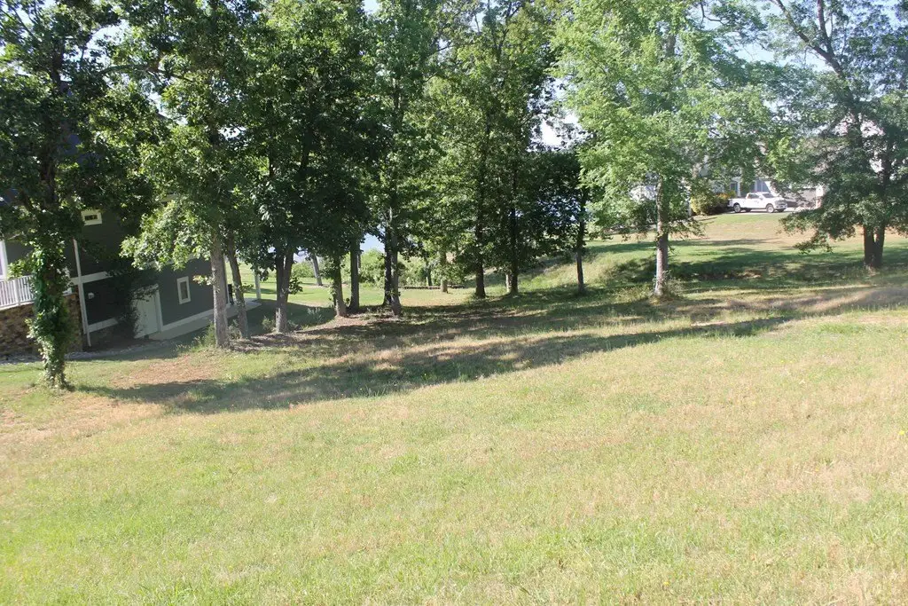 Picture 10