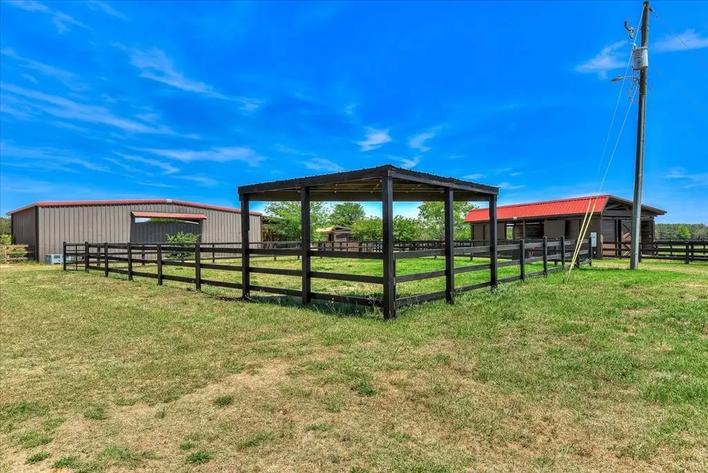 Picture 124