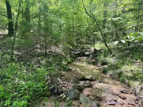 Hardy, Arkansas Wooded Land