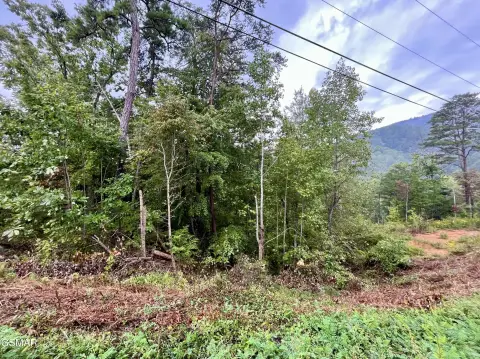 Land in Bluff Mountain Acres