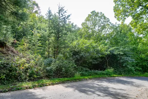 Wooded Lot Near National Park