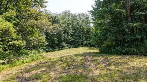 Danville, OH - 18 Acre Land