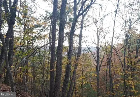 Land with Mountain Views