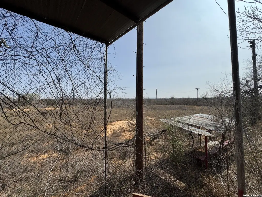 Picture 18
