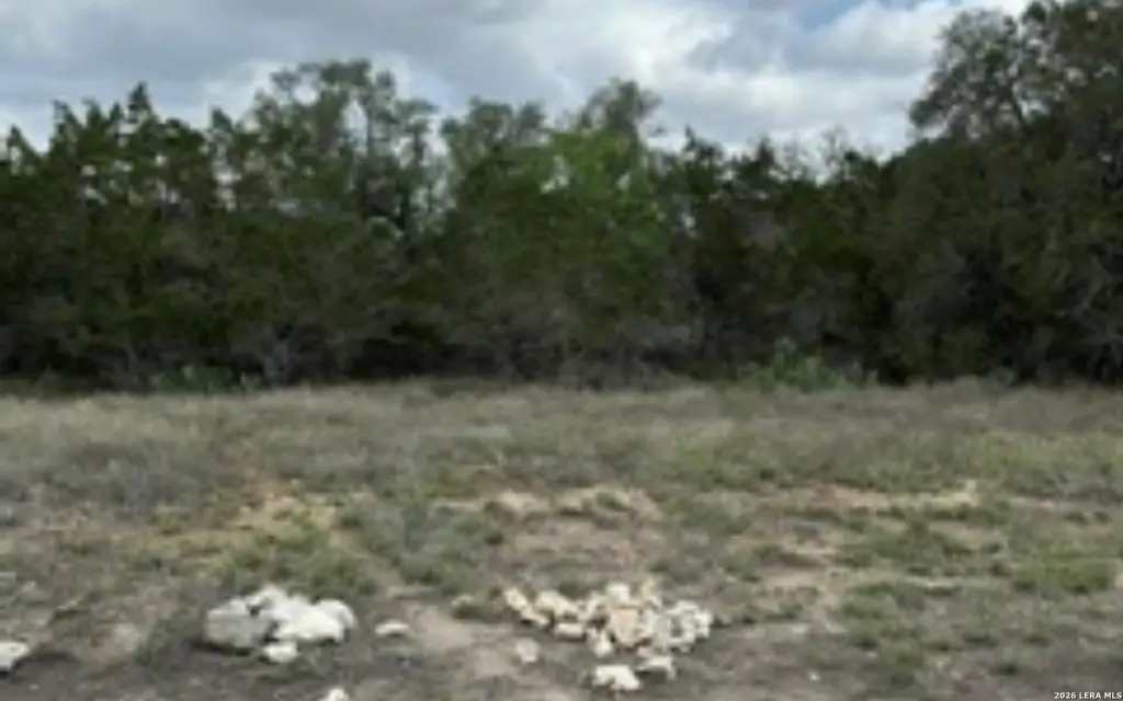 Picture 10