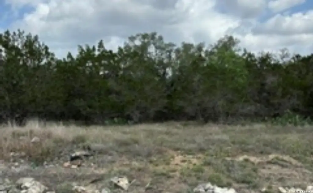 Picture 11