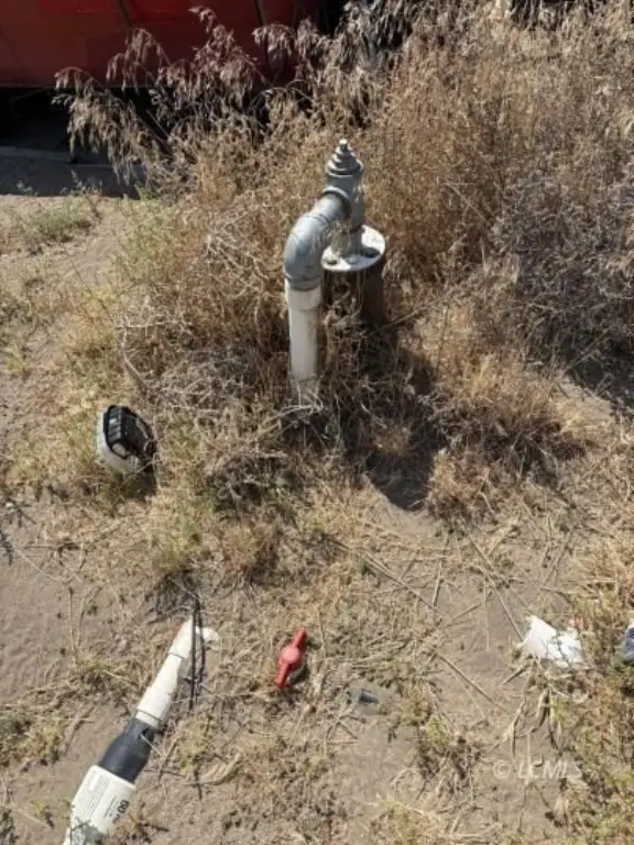Picture 5