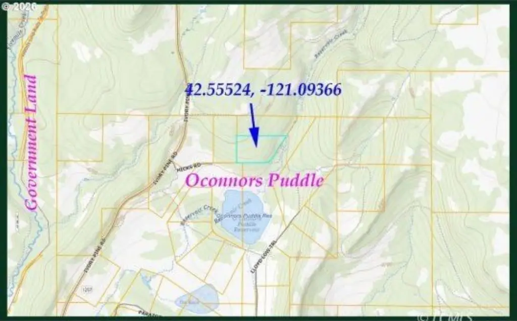 Picture 9