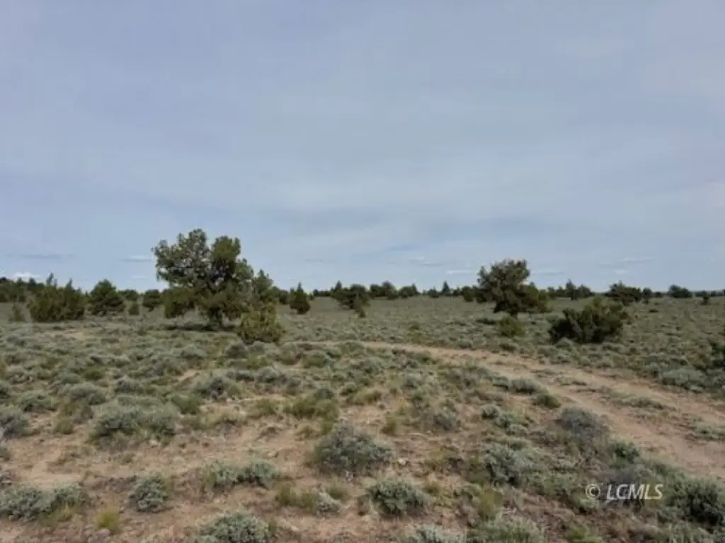 Picture 25