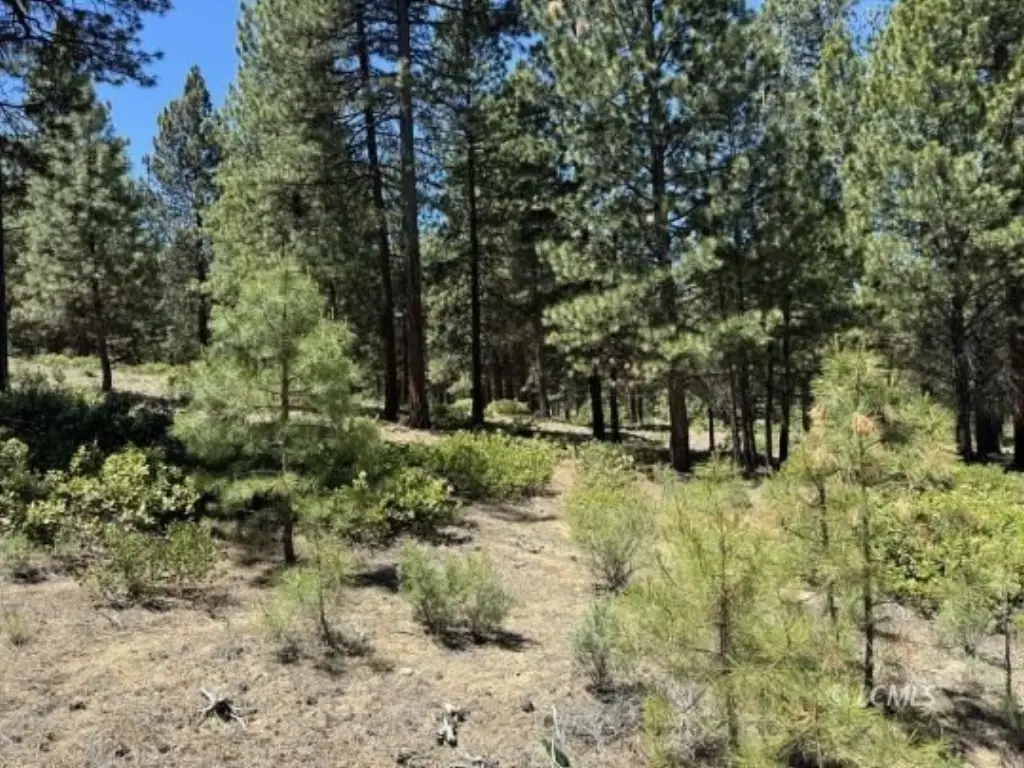 Picture 10
