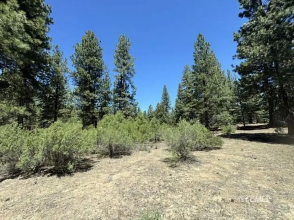 Picture 35