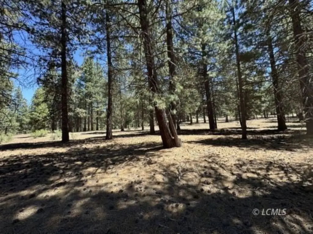 Picture 24