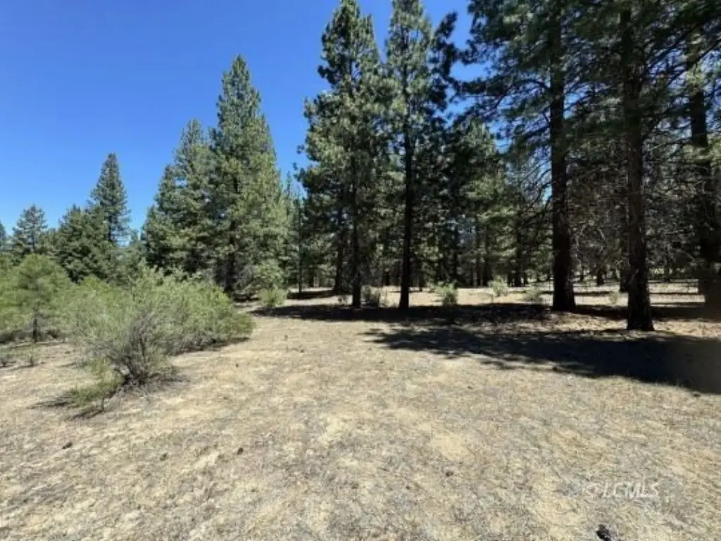 Picture 33