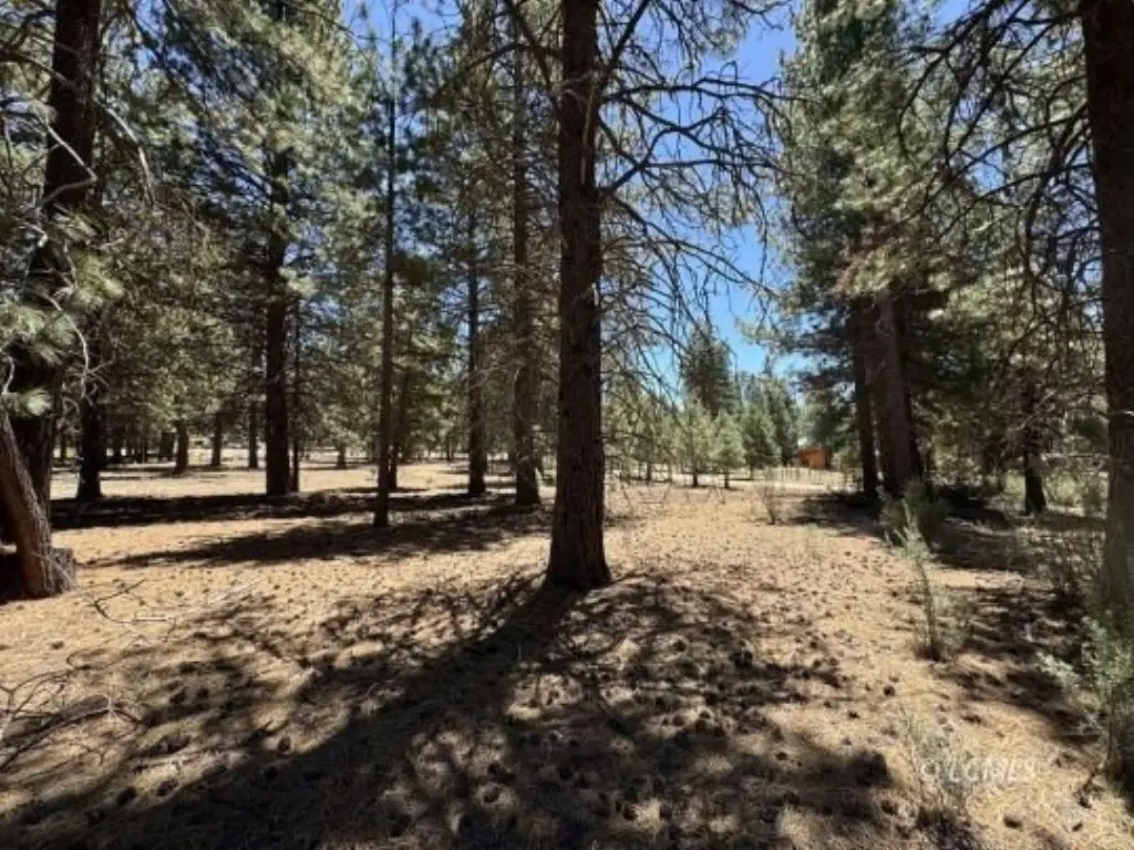 Picture 22