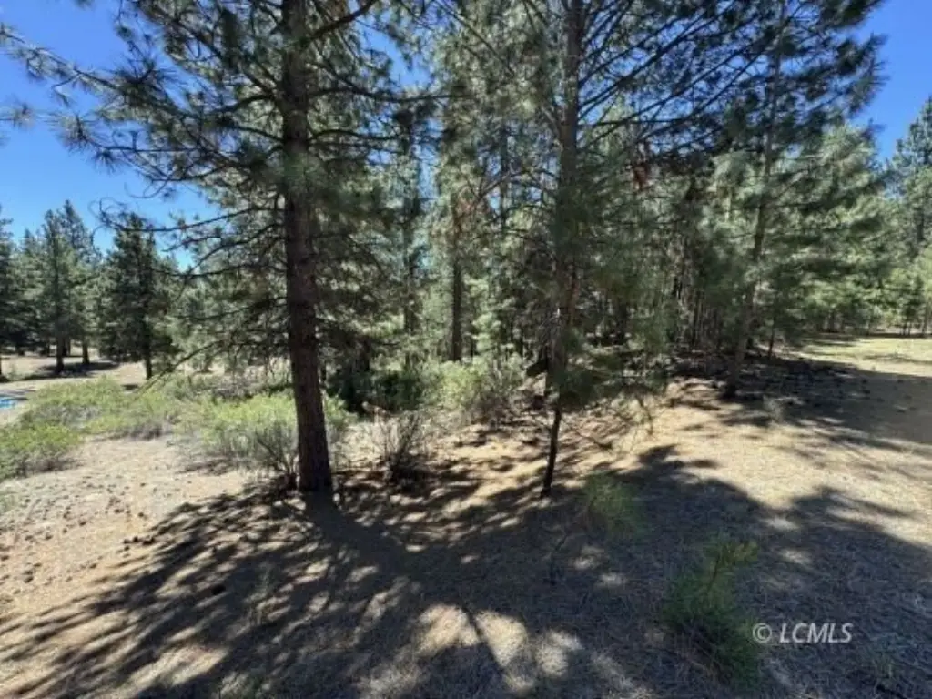 Picture 19