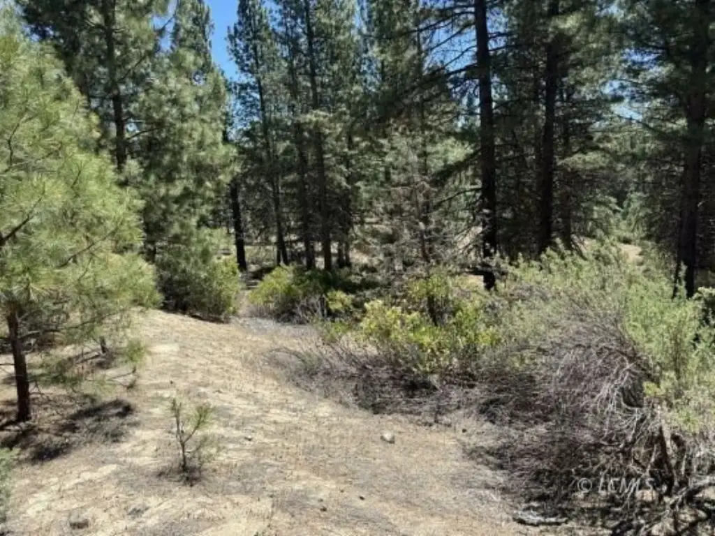 Picture 11