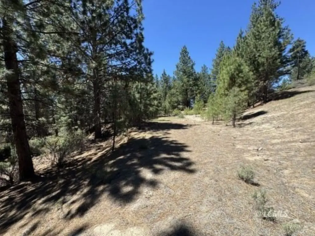 Picture 18