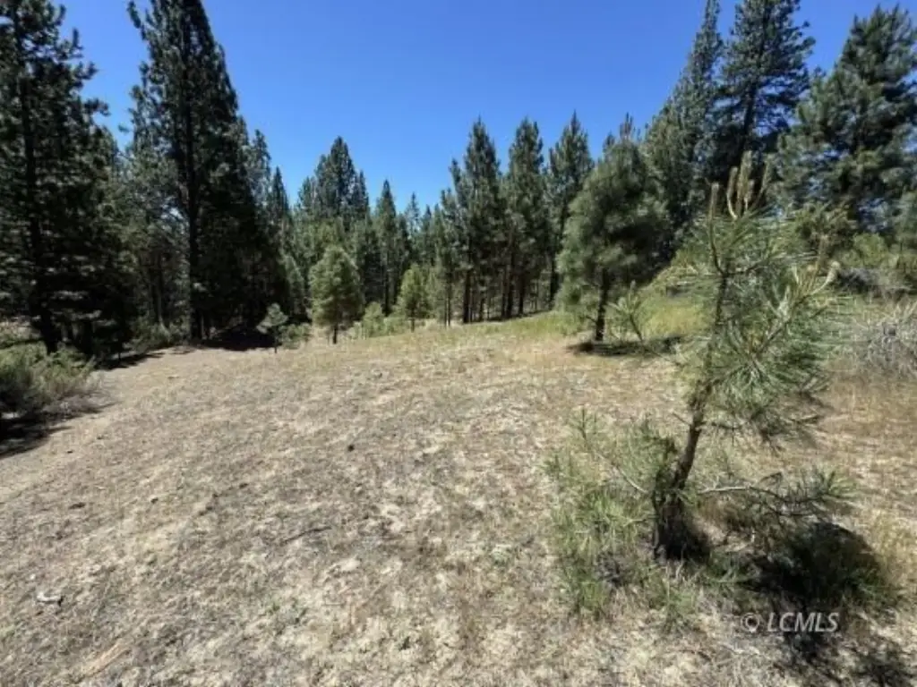 Picture 29