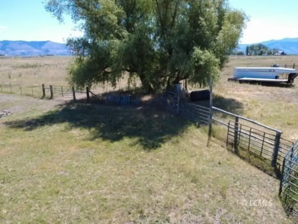 Picture 12